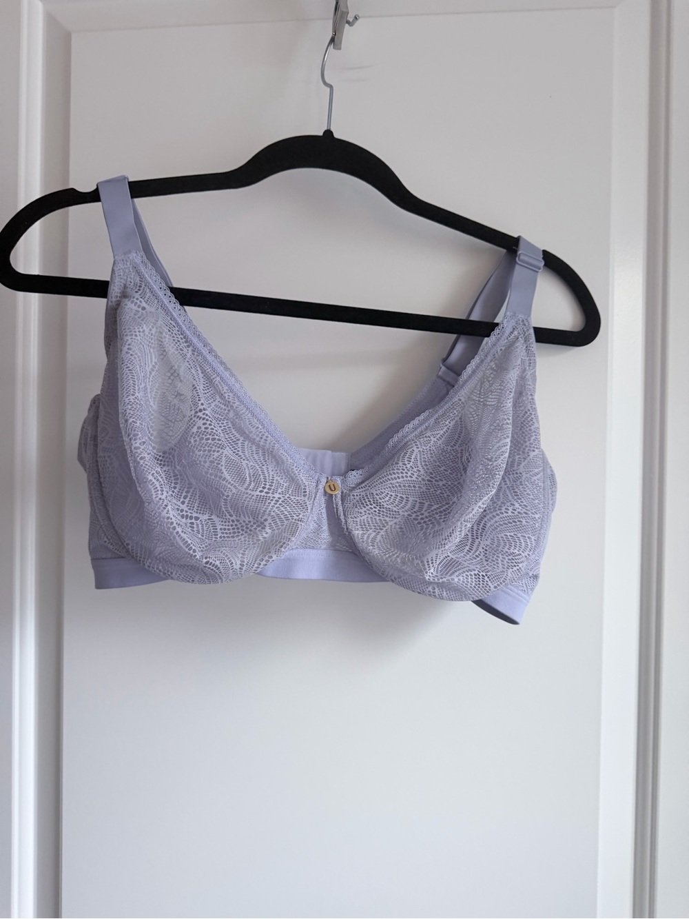 Understance Sheer Lace Underwire Bra in Light Lavender - Women Intimates
